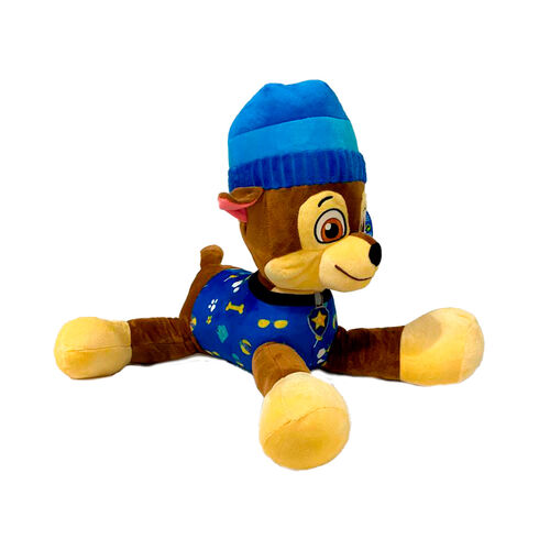 Paw patrol pup pals online